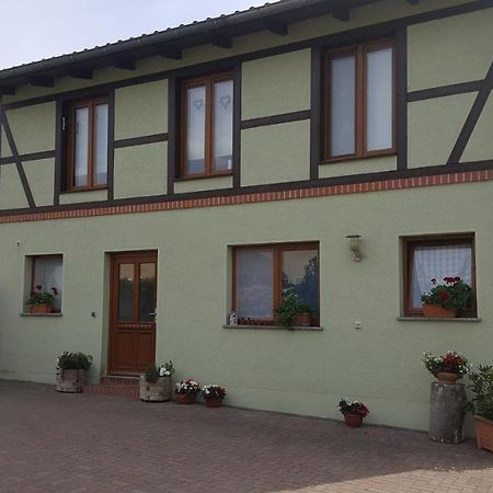 Ferienhaus Am Stadtpark Ballenstedt Eksteriør bilde